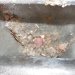 Before Dryer Vent Cleaning