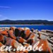 Tasmania, Australia