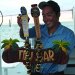Bar aboard