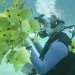 Scuba dive