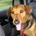 My Gracie!