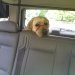 Tucker